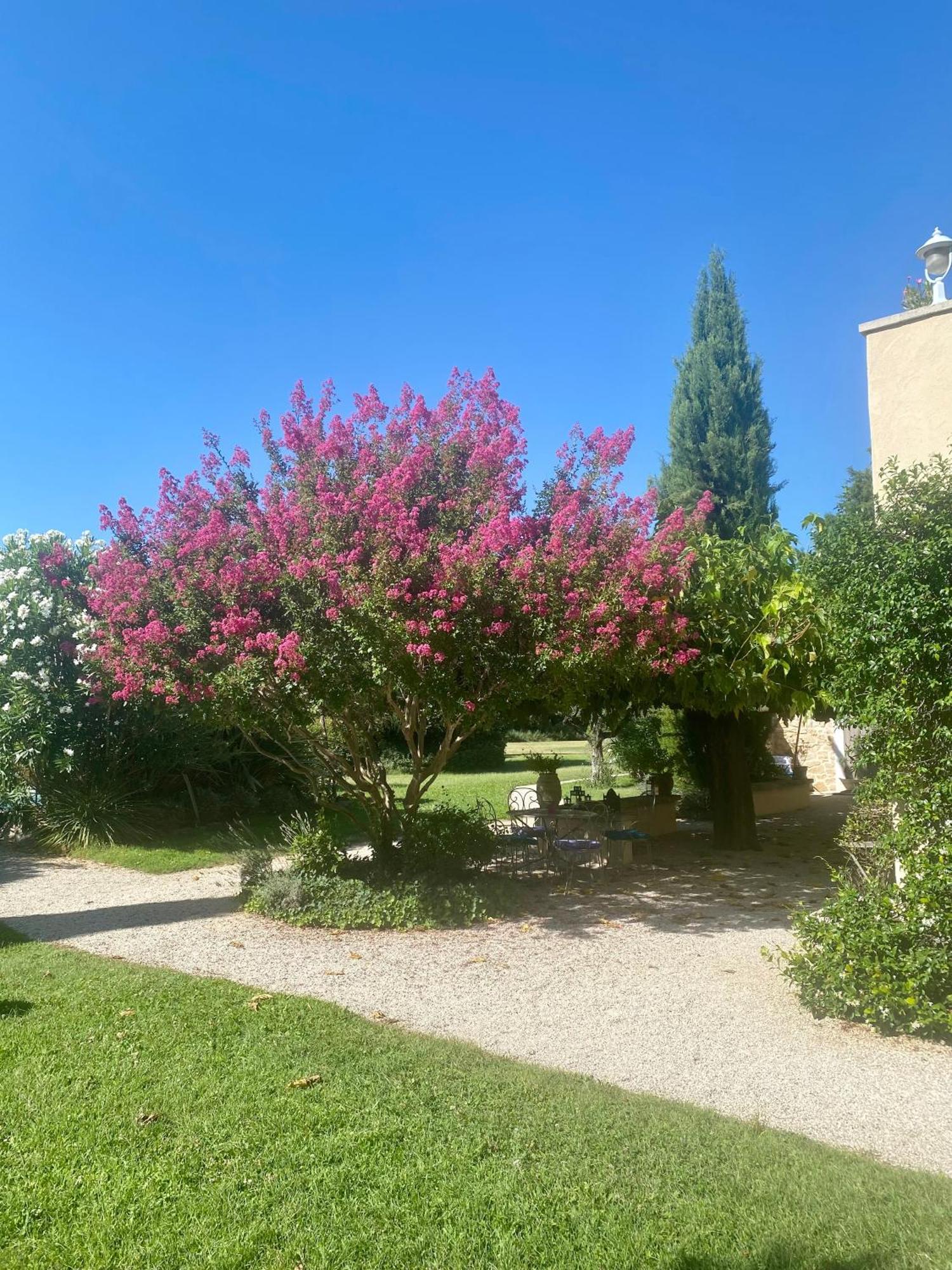 Mas Les Fleurs D'Hilaire Acomodação com café da manhã Monteux Exterior foto